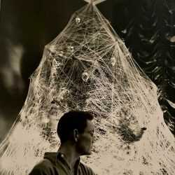 Photograph By George Platt Lynes: [chuck Howard Posing Among An Adorned Tree Ii] At Childs Gallery