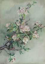 Watercolor by Gertrude Beals Bourne: [Apple Blossoms], available at Childs Gallery, Boston