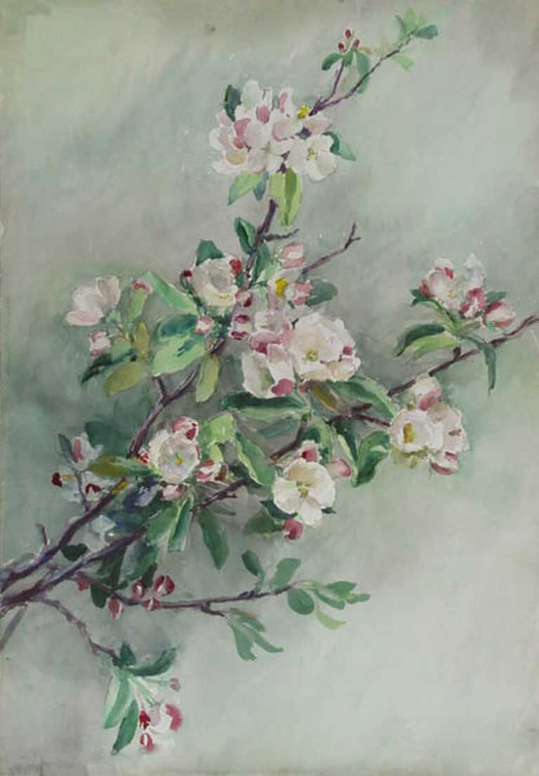 Watercolor by Gertrude Beals Bourne: [Apple Blossoms], available at Childs Gallery, Boston