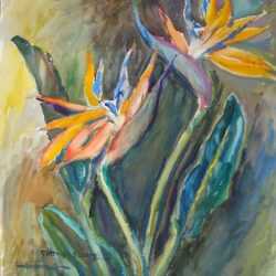 Watercolor By Gertrude Beals Bourne: [birds Of Paradise] At Childs Gallery