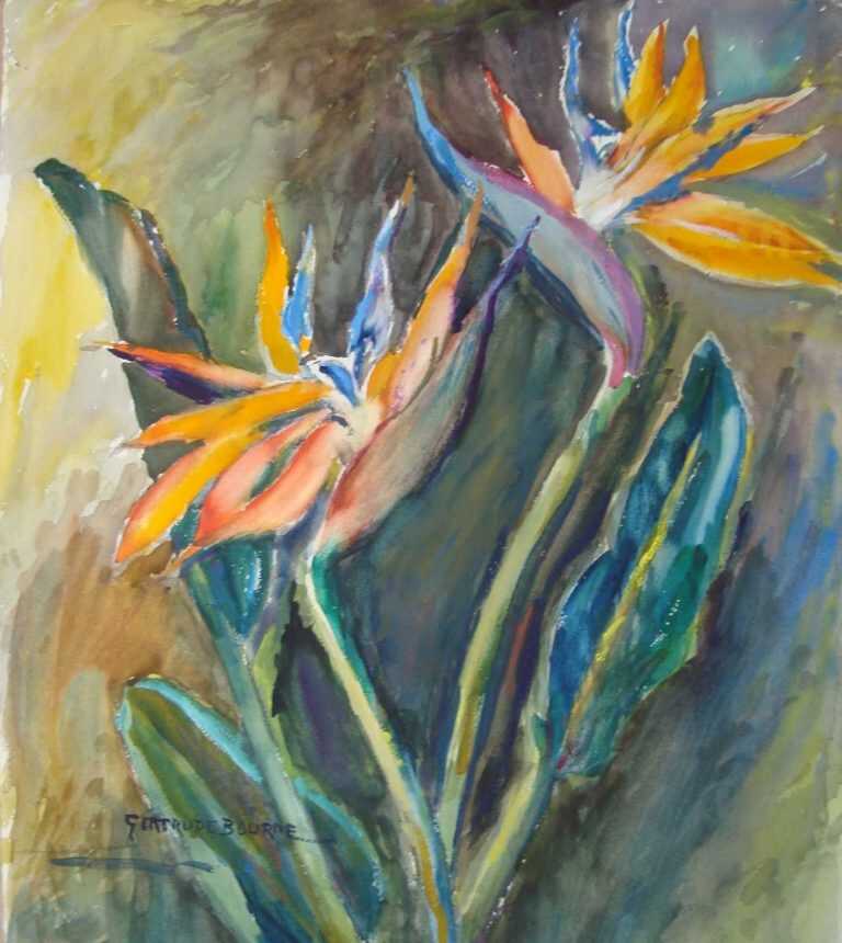 Watercolor By Gertrude Beals Bourne: [birds Of Paradise] At Childs Gallery