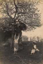 Photograph by Guglielmo Plüschow: [Classical Sicilian Youths Under a Blooming Olive Tree], available at Childs Gallery, Boston