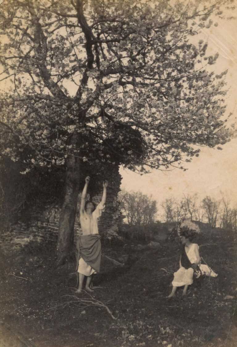 Photograph by Guglielmo Plüschow: [Classical Sicilian Youths Under a Blooming Olive Tree], available at Childs Gallery, Boston