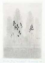 Print by Gunnar Norrman: Grasstran, Torrial, represented by Childs Gallery