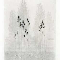 Print by Gunnar Norrman: Grasstran, Torrial, represented by Childs Gallery