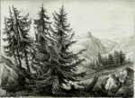 Print by H.W. Burgess: Spruce Fir, represented by Childs Gallery