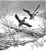 Print by Hans Kleiber: Winter Guests, represented by Childs Gallery