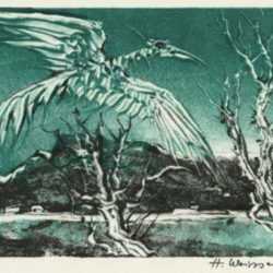 Print by Hellmuth Weissenborn: [Bird In Flight], represented by Childs Gallery