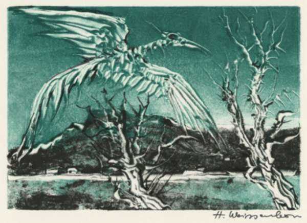Print by Hellmuth Weissenborn: [Bird In Flight], represented by Childs Gallery