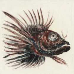 Print by Hellmuth Weissenborn: [Fish], represented by Childs Gallery