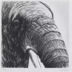 Print By Henry Moore: Elephant's Head Ii At Childs Gallery
