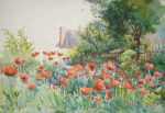 Watercolor by Henry W. Rice: A New England Poppy Field, represented by Childs Gallery