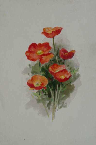 Watercolor by Henry W. Rice: Poppies, represented by Childs Gallery