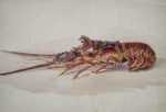 Watercolor by Henry W. Rice: Spiny Lobster, Bermuda, represented by Childs Gallery