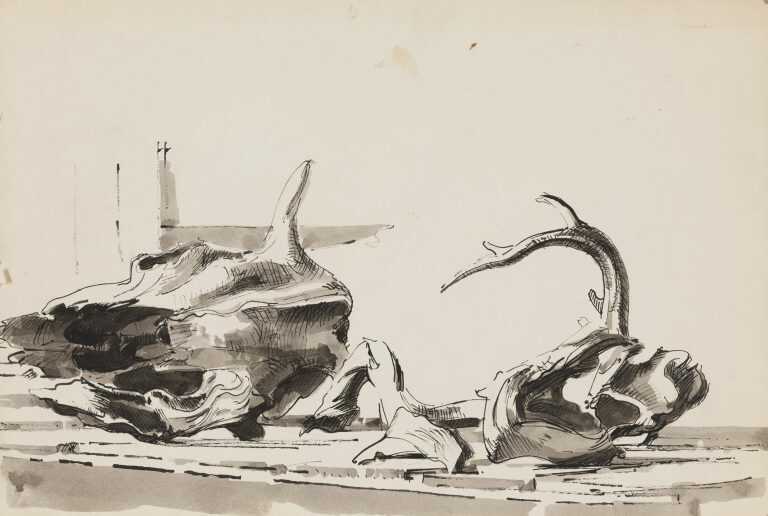 Drawing by Herbert Barnett: Study: Animal Skulls, available at Childs Gallery, Boston