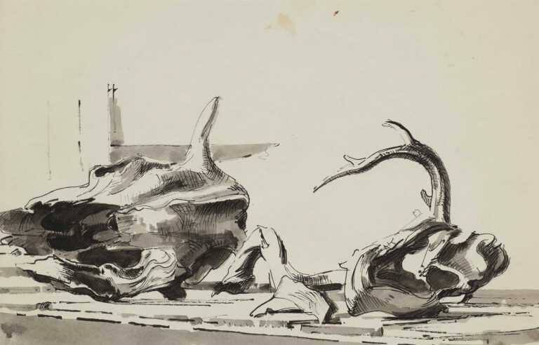 Drawing By Herbert Barnett: Study: Animal Skulls At Childs Gallery