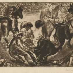 Print By Irwin D. Hoffman: Bullfight, Or Rodeo, Or El Teliafero [mexico] At Childs Gallery