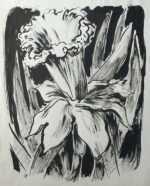 Drawing by Jacek von Henneberg: Daffodil, represented by Childs Gallery