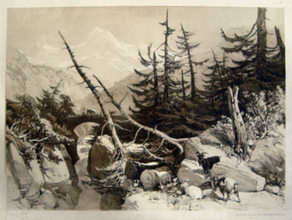 Print by James Duffield Harding: Larch, represented by Childs Gallery