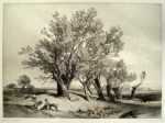 Print by James Duffield Harding: Pollard Willow, represented by Childs Gallery