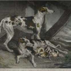 Print by James Ward: Dogs of the Dalmatian Breed, represented by Childs Gallery