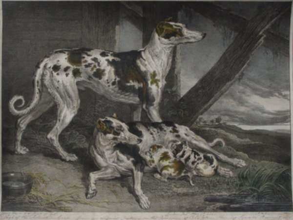 Print by James Ward: Dogs of the Dalmatian Breed, represented by Childs Gallery