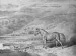 Print by James Ward: Little Peggy, represented by Childs Gallery
