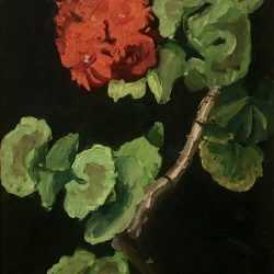 Painting by Jane Peterson: Stem of Geraniums, available at Childs Gallery, Boston