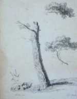 Print by Jean Victor Bertin: Pin d'Italia, represented by Childs Gallery