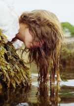 Photograph by Jillian Freyer: Sea Foam & Bladderwrack, available at Childs Gallery, Boston