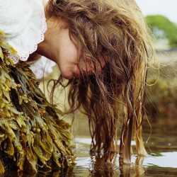 Photograph by Jillian Freyer: Sea Foam & Bladderwrack, available at Childs Gallery, Boston