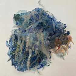 Mixed Media by Joan Hall: What You Cannot See #1, available at Childs Gallery, Boston