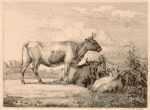 Print by Johann Wilhelm Zillen: [Cows in a field], represented by Childs Gallery