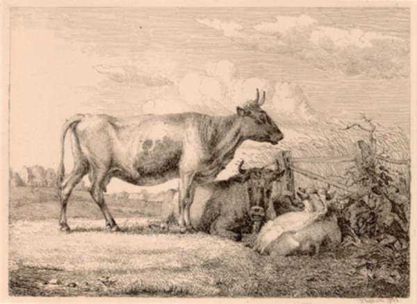 Print by Johann Wilhelm Zillen: [Cows in a field], represented by Childs Gallery