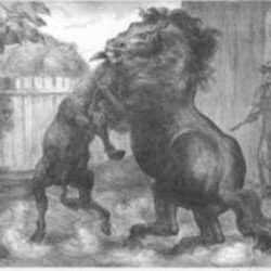Print by John Steuart Curry: Stallion and Jack Fighting, represented by Childs Gallery