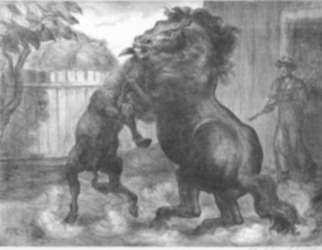 Print by John Steuart Curry: Stallion and Jack Fighting, represented by Childs Gallery