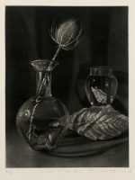 Print by Judith Rothchild: Chardon et ferille, available at Childs Gallery, Boston