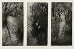 Print by Judith Rothchild: Roseaux au Salagou, available at Childs Gallery, Boston