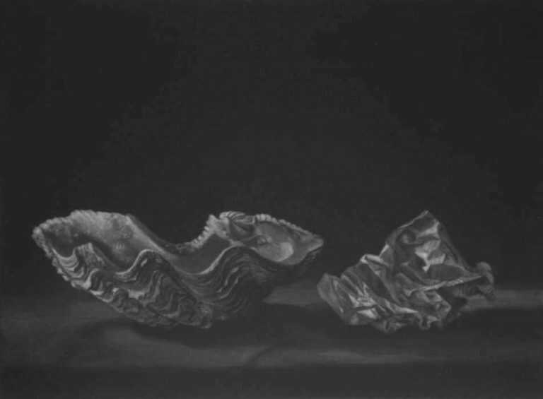Print by Judith Rothchild: Deux Coquilles, represented by Childs Gallery