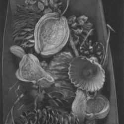 Print by Judith Rothchild: Histoires naturelles, represented by Childs Gallery