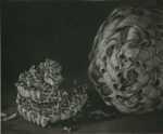 Print by Judith Rothchild: Nid de Frelons, represented by Childs Gallery