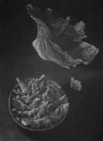 Print by Judith Rothchild: Pacifique Sud, represented by Childs Gallery
