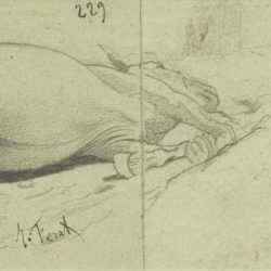 Drawing by Jules-Descartes Ferat: Cheval mort, represented by Childs Gallery