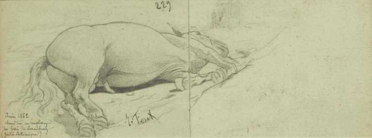 Drawing by Jules-Descartes Ferat: Cheval mort, represented by Childs Gallery