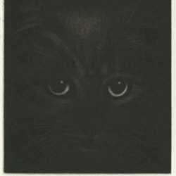 Print by Laurent Schkolnyk: Cat, represented by Childs Gallery