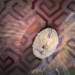 Mixed Media by Lee Essex Doyle: Gio Pink, available at Childs Gallery, Boston