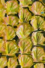 Mixed media by Lee Essex Doyle: Pink, Yellow, and Black Shells, represented by Childs Gallery