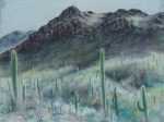 Pastel by Leo Meissner: [Cactus Country, Arizona], represented by Childs Gallery