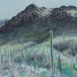 Pastel by Leo Meissner: [Cactus Country, Arizona], represented by Childs Gallery