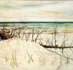 Drawing by Leo Meissner: [Gulf Coast, Florida, near Sanibel], represented by Childs Gallery